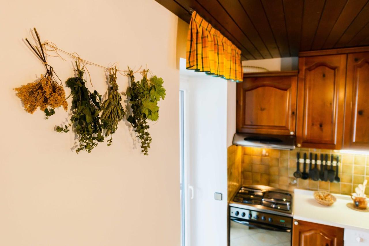 Dreamland Bled Apartments מראה חיצוני תמונה
