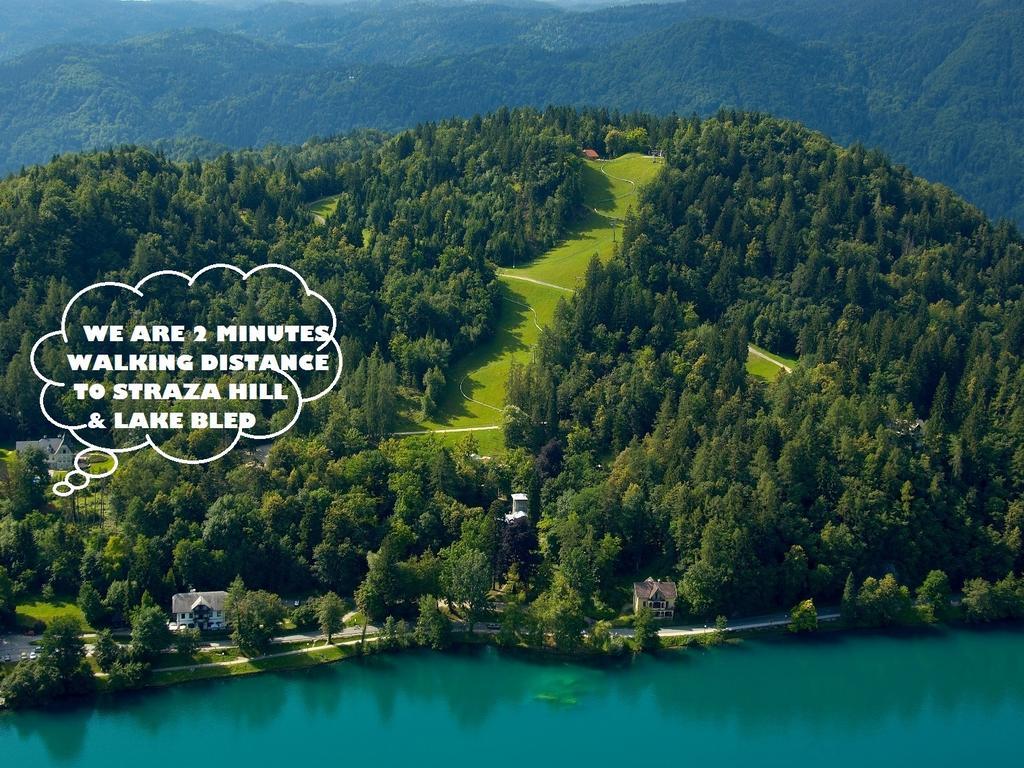 Dreamland Bled Apartments מראה חיצוני תמונה